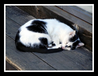 [Click to enlarge image]